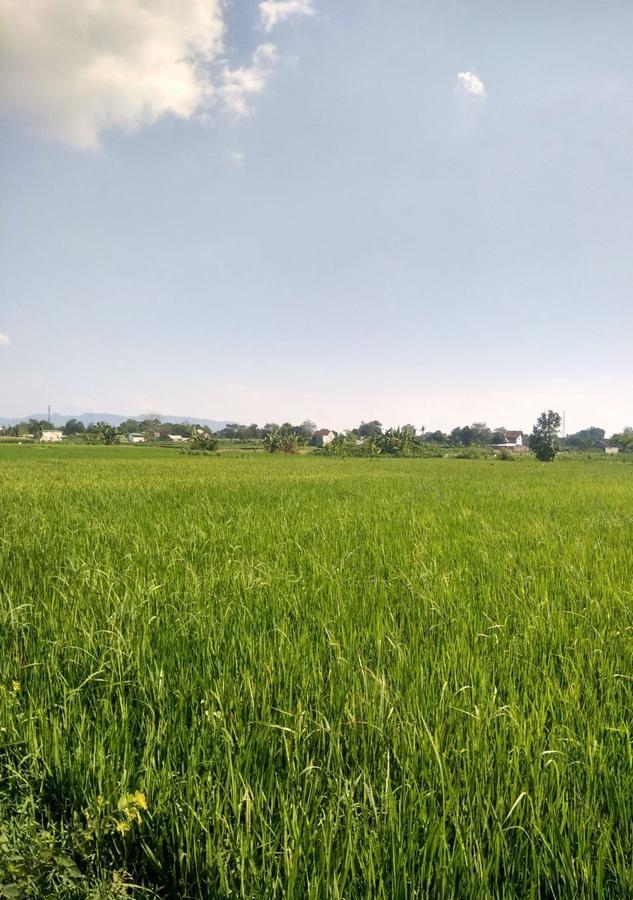 Griya Gendhis Saraswati Boutique Hotel Klaten エクステリア 写真